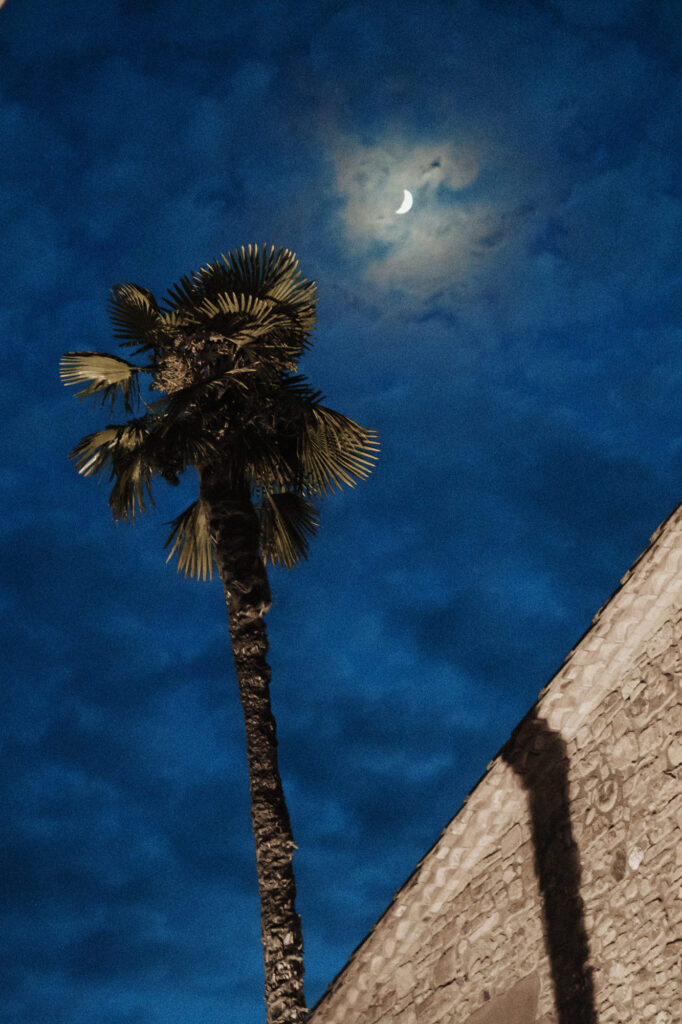 Moon over palm tree during an evening wedding at El Dalmau